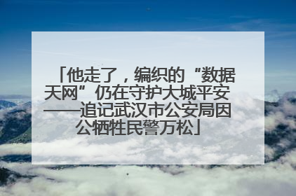 他走了，编织的“数据天网”仍在守护大城平安——追记武汉市公安局因公牺牲民警万松