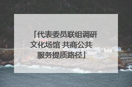 代表委员联组调研文化场馆 共商公共服务提质路径