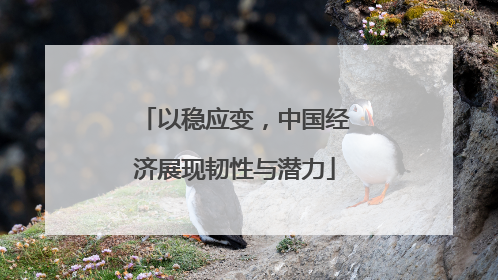 以稳应变,中国经济展现韧性与潜力