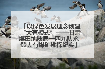 以绿色发展理念创建“大有模式”——甘肃煤田地质局一四九队永登大有煤矿勘探纪实