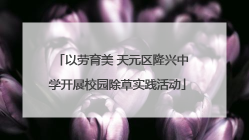 以劳育美 天元区隆兴中学开展校园除草实践活动