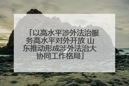 以高水平涉外法治服务高水平对外开放 山东推动形成涉外法治大协同工作格局