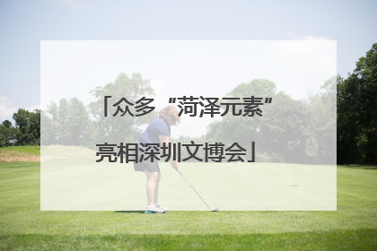 众多“菏泽元素”亮相深圳文博会