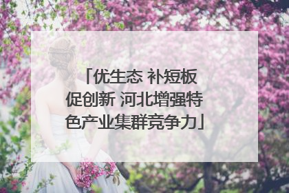 优生态 补短板 促创新 河北增强特色产业集群竞争力