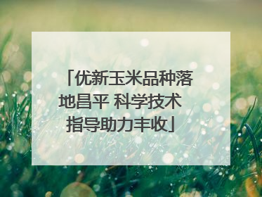 优新玉米品种落地昌平 科学技术指导助力丰收