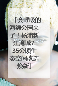会呼吸的海绵公园来了！杨浦新江湾城7.35公顷生态空间改造焕新