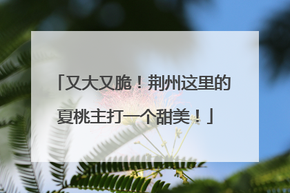 又大又脆！荆州这里的夏桃主打一个甜美！