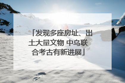 发现多座房址、出土大量文物 中乌联合考古有新进展