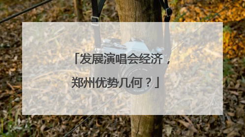 发展演唱会经济，郑州优势几何？