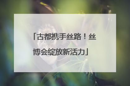 古都携手丝路！丝博会绽放新活力
