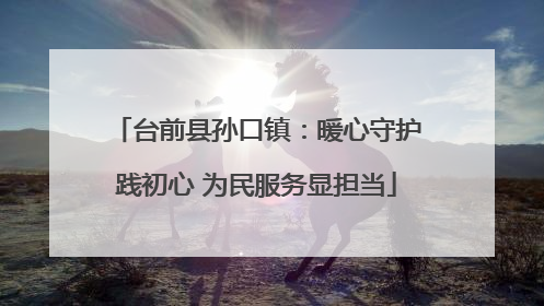 台前县孙口镇：暖心守护践初心 为民服务显担当