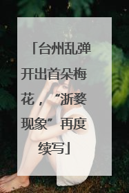 台州乱弹开出首朵梅花，“浙婺现象”再度续写