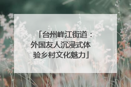 台州峰江街道：外国友人沉浸式体验乡村文化魅力
