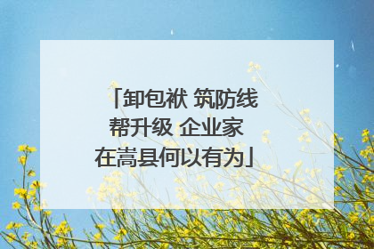 卸包袱 筑防线 帮升级 企业家在嵩县何以有为