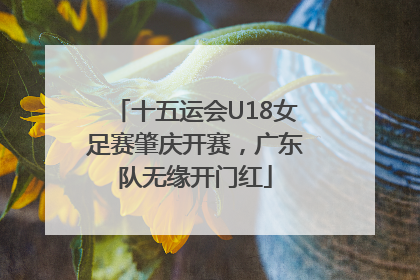 十五运会U18女足赛肇庆开赛，广东队无缘开门红
