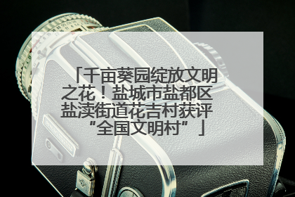 千亩葵园绽放文明之花！盐城市盐都区盐渎街道花吉村获评“全国文明村”