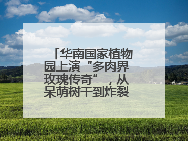 华南国家植物园上演“多肉界玫瑰传奇”，从呆萌树干到炸裂种子全是戏！