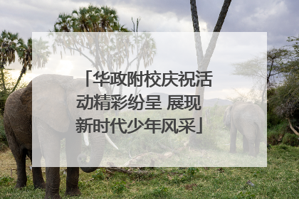 华政附校庆祝活动精彩纷呈 展现新时代少年风采