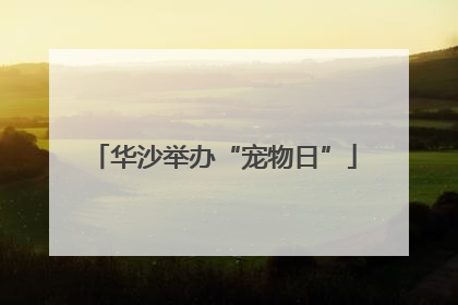 华沙举办“宠物日”