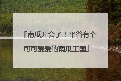 南瓜开会了！平谷有个可可爱爱的南瓜王国