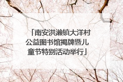 南安洪濑镇大洋村公益图书馆揭牌暨儿童节特别活动举行