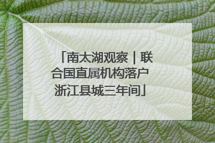 南太湖观察｜联合国直属机构落户浙江县城三年间