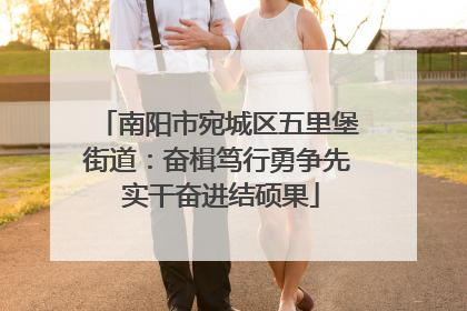 南阳市宛城区五里堡街道：奋楫笃行勇争先 实干奋进结硕果
