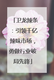 卫龙辣条：引领千亿辣味市场，勇做行业破局先锋