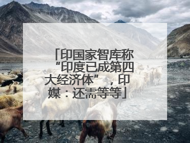 印国家智库称“印度已成第四大经济体”，印媒：还需等等