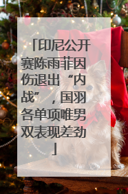 印尼公开赛陈雨菲因伤退出“内战”，国羽各单项唯男双表现差劲