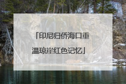 印尼归侨海口重温琼崖红色记忆