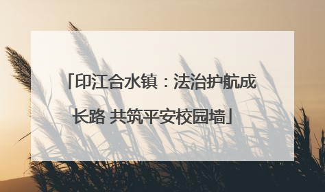 印江合水镇：法治护航成长路 共筑平安校园墙