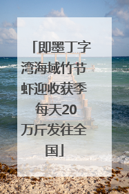 即墨丁字湾海域竹节虾迎收获季 每天20万斤发往全国