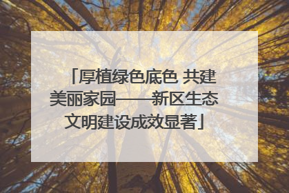 厚植绿色底色 共建美丽家园——新区生态文明建设成效显著