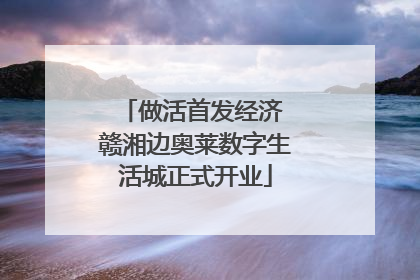 做活首发经济 赣湘边奥莱数字生活城正式开业