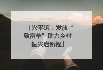 兴平镇：发放“致富羊”助力乡村振兴启新程