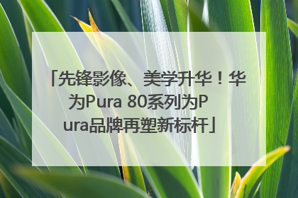 先锋影像、美学升华！华为Pura 80系列为Pura品牌再塑新标杆