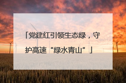 党建红引领生态绿，守护高速“绿水青山”