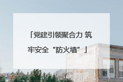 党建引领聚合力 筑牢安全“防火墙”