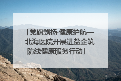 党旗飘扬·健康护航——北海医院开展进盐企筑防线健康服务行动