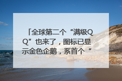 全球第二个“满级QQ”也来了，图标已显示金色企鹅，系首个“满级QQ”的小号