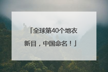 全球第40个地衣新目，中国命名！