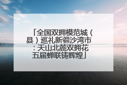 全国双拥模范城（县）巡礼新疆沙湾市：天山北麓双拥花 五届蝉联铸辉煌
