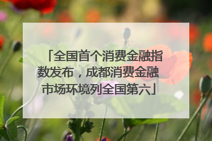 全国首个消费金融指数发布，成都消费金融市场环境列全国第六
