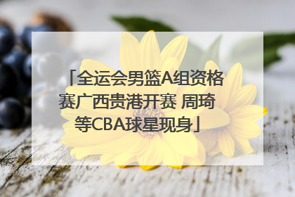 全运会男篮A组资格赛广西贵港开赛 周琦等CBA球星现身