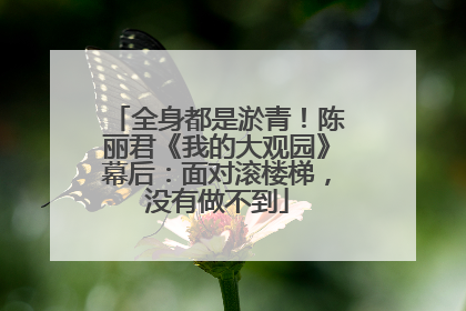 全身都是淤青！陈丽君《我的大观园》幕后：面对滚楼梯，没有做不到