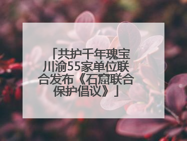 共护千年瑰宝 川渝55家单位联合发布《石窟联合保护倡议》