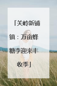 关岭新铺镇：万亩蜂糖李迎来丰收季