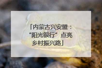 内蒙古兴安盟：“阳光银行”点亮乡村振兴路