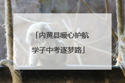内黄县暖心护航学子中考逐梦路
